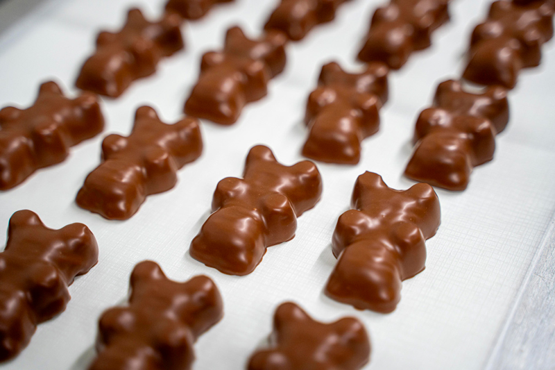 Oursons en guimauve et chocolat fait mains